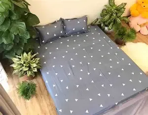 Bộ 4 món ga giường drap giường poly, Set ga trải giường + 2 vỏ gối nằm ...