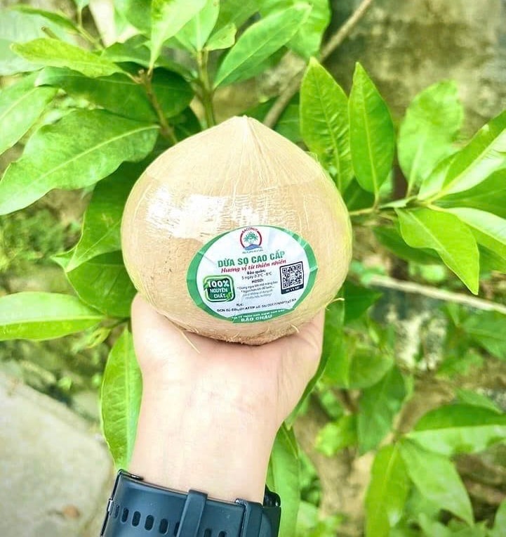 [COMBO 10] Dừa sọ tuơi chuẩn xiêm 3