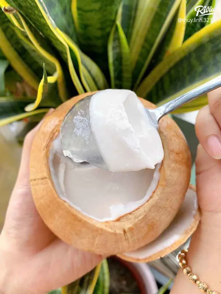 [COMBO 3] Thạch dừa xiêm 3