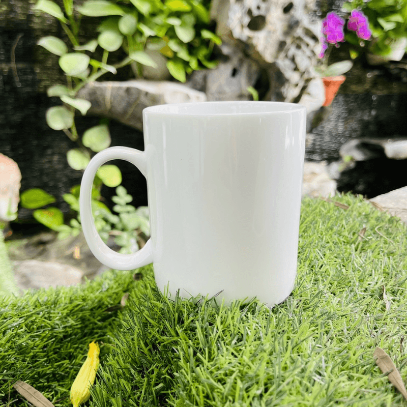 Ly sứ mẫu ngẫu nhiên 8